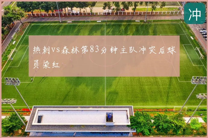 热刺vs森林第83分钟主队冲突后球员染红